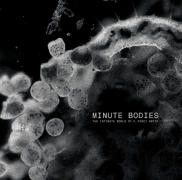 Tindersticks: Minute Bodies: The Intimate World Of F. Percy Smith - CD