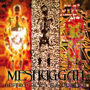 Meshuggah: Destroy Erase Improve (30th Anniversary Edition) (Gray/Black/White Marble Vinyl) - Vinyl