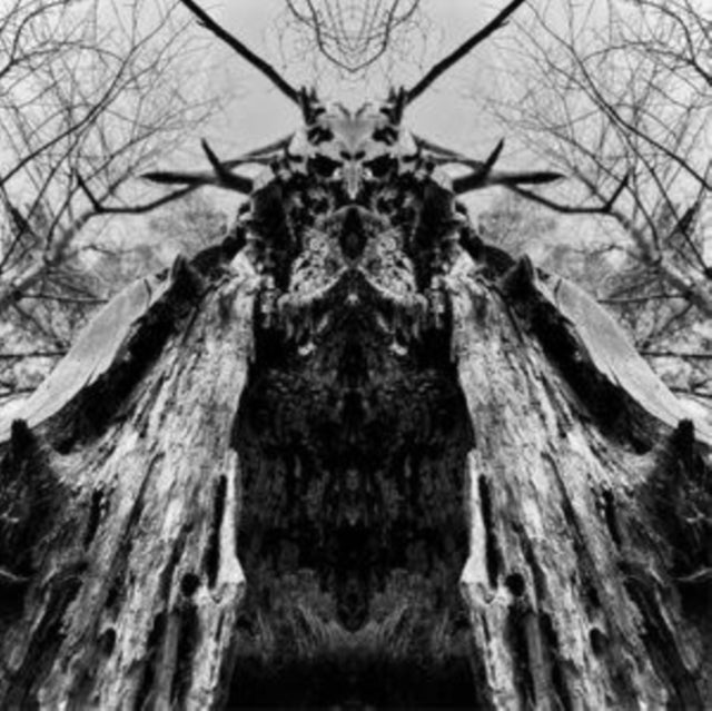Rulaman: To Serve The Dune - CD