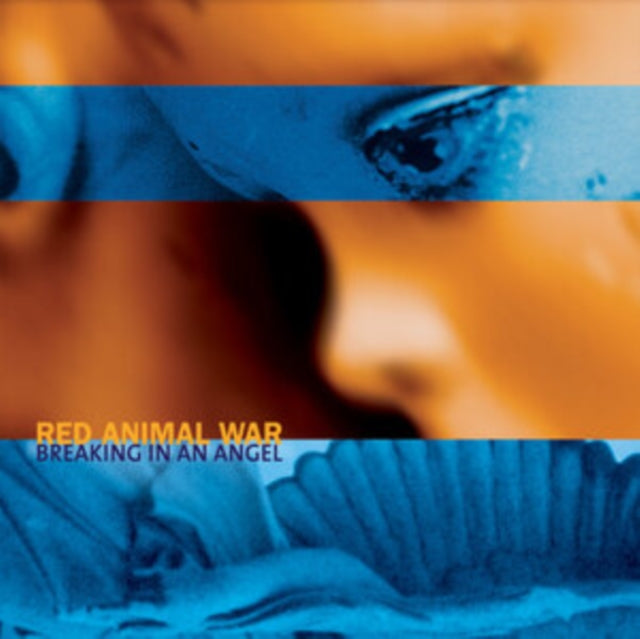 Red Animal War: Breaking In An Angel - Vinyl
