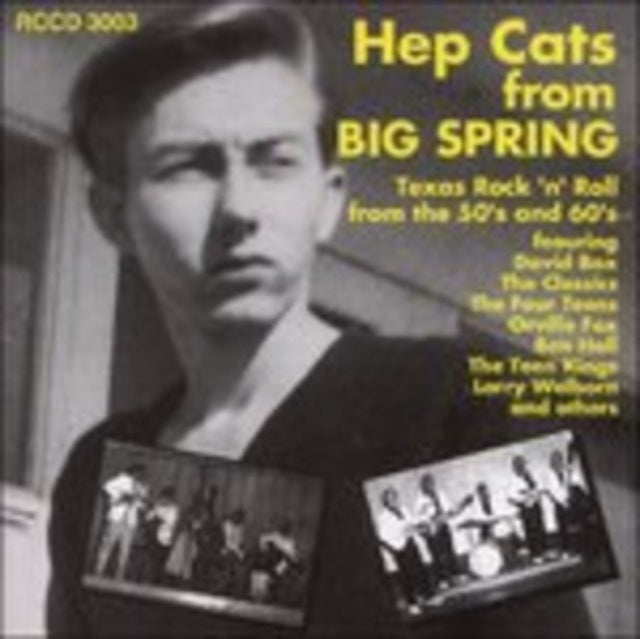 Various Artists: Hep Cats From Big Spring - CD
