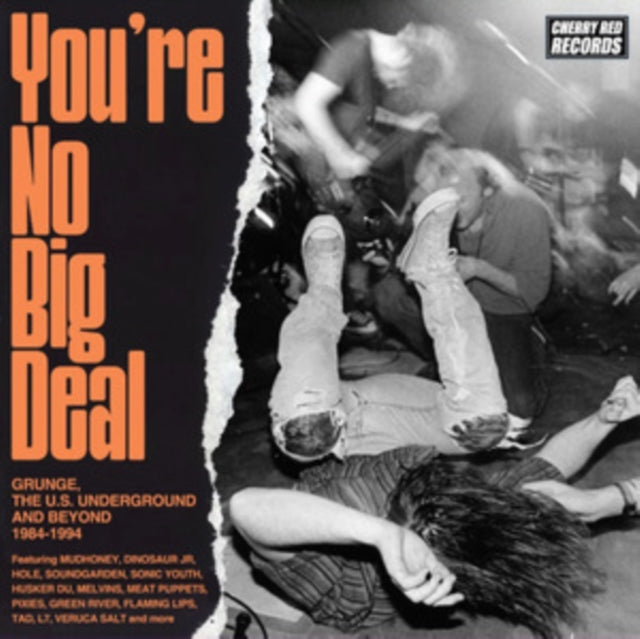 Various Artists: Youre No Big Deal - Grunge / The U.S. Underground And Beyond 1984-1994 (Clamshell) - CD