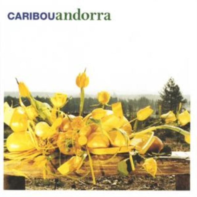 Caribou: Andorra - CD