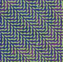 Animal Collective: Merriweather Post Pavillion - Vinyl