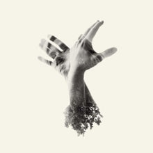 The Last Dinosaur: The Nothing - CD