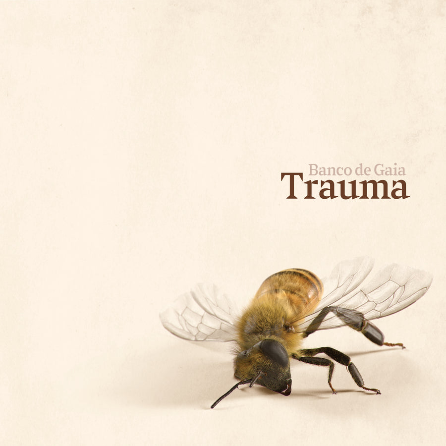 Banco de Gaia: Trauma - CD