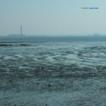 Fennesz: Black Sea (2022 Re-Issue) - Vinyl