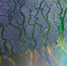 alt-J: An Awesome Wave - CD