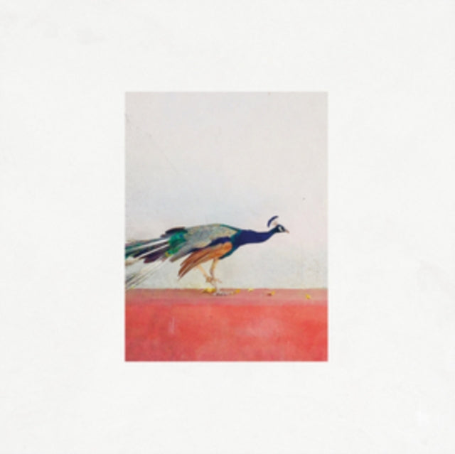 Jason Singh & The Banwasi Collective: Travellers - CD