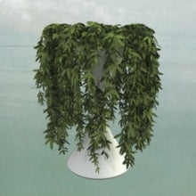 Errors: Lease Of Life - CD