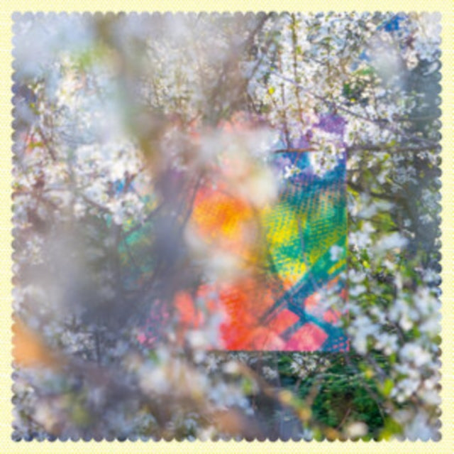 Four Tet: Sixteen Oceans - Vinyl