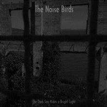 The Noise Birds: The Dark Sea Hides A Bright Light - Vinyl
