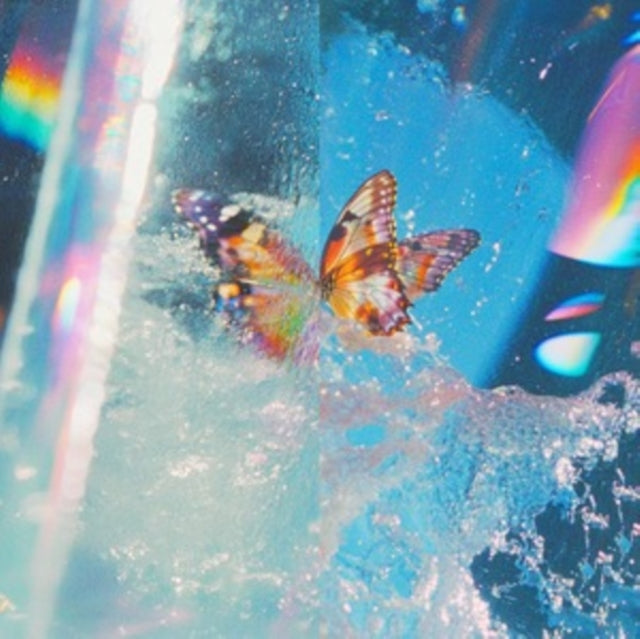 Daphni: Butterfly - Vinyl