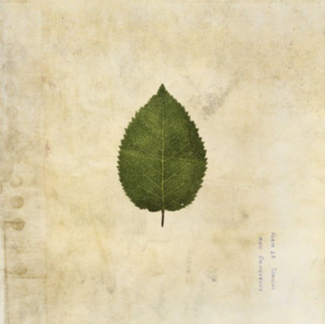The Boxer Rebellion: The Cold Still (Green Swirled Vinyl) - Vinyl