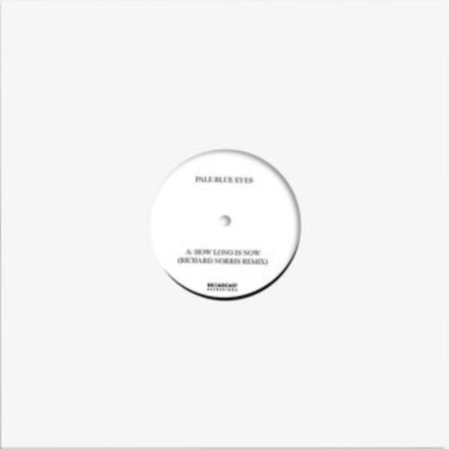 Pale Blue Eyes: How Long Is Now (Richard Norris Vocal remix) - Vinyl