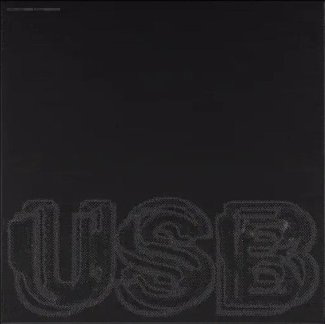 Fred Again..: Usb - Vinyl