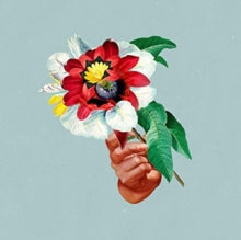 Maribou State: Kingdoms In Colour - Vinyl