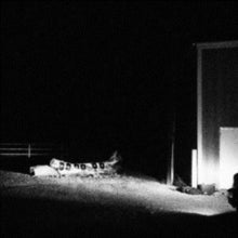 Cloud Nothings: Last Building Burning - CD