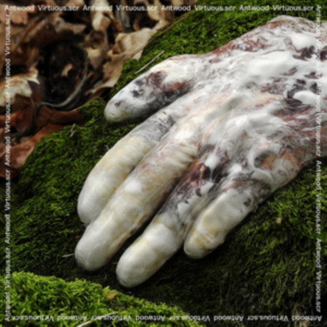 Antwood: Virtuousscr - CD