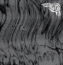 Hookworms: Hookworms - CD