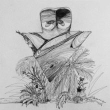 Papillon: Cercueil Flottant - Cassette