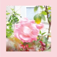The Reds, Pinks and Purples: Summer At Lands End - CD