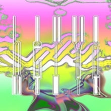 Herva: Seez - Vinyl