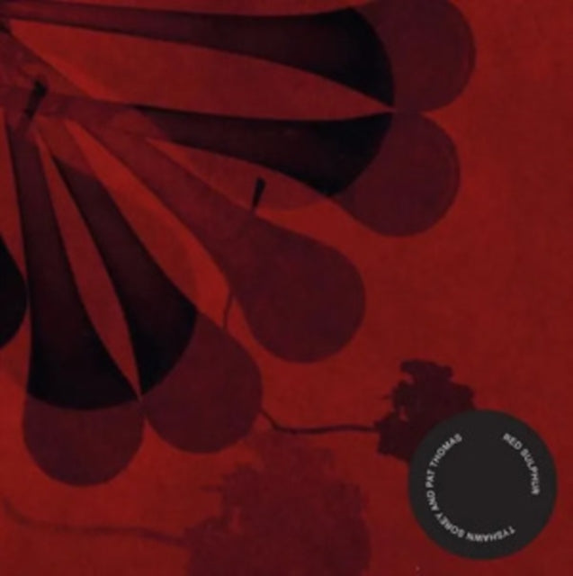 Tyshawn Sorey & Pat Thomas: Red Sulphur - CD