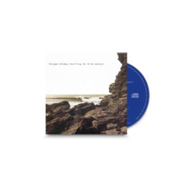 Polygon Window: Surfing On Sine Waves (Expanded Edition) - CD