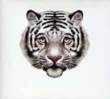 Bearsuit: The Phantom Forest - CD