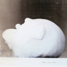 Laurie Tompkins: Fatty - CD