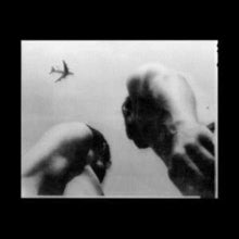Eve Adams: Metal Bird - CD