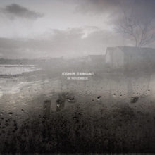 Joshua Trinidad: In November - CD
