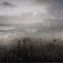 Joshua Trinidad: In November - Vinyl