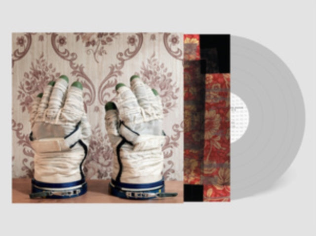 David Sylvian and Stephan Mathieu: Wandermude - Vinyl