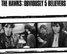 The Hawks: Obviously 5 Believers - Vinyl