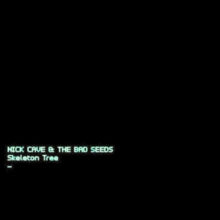 Nick Cave and the Bad Seeds: Skeleton Tree - Vinyl