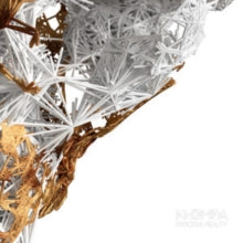 Khompa: Perceive Reality - Vinyl