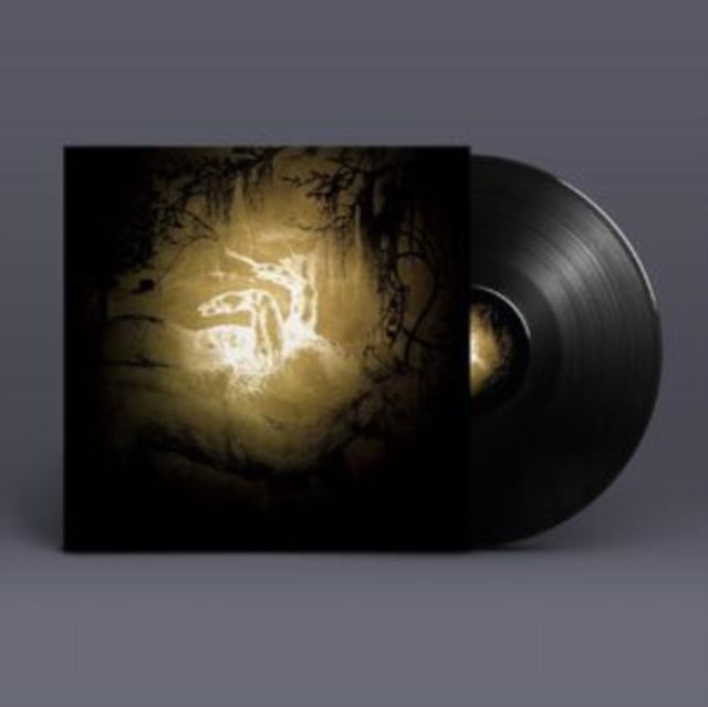Polar Bear: Held On The Tips Of Fingers - Vinyl