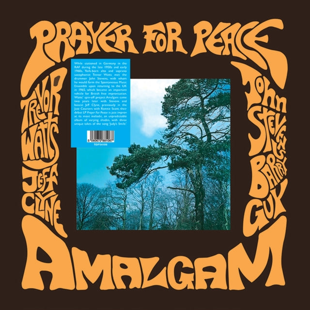 Amalgam: Prayer For Peace - Vinyl