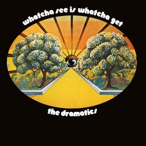 The Dramatics: Whatcha See Is Whatcha Get - Vinyl