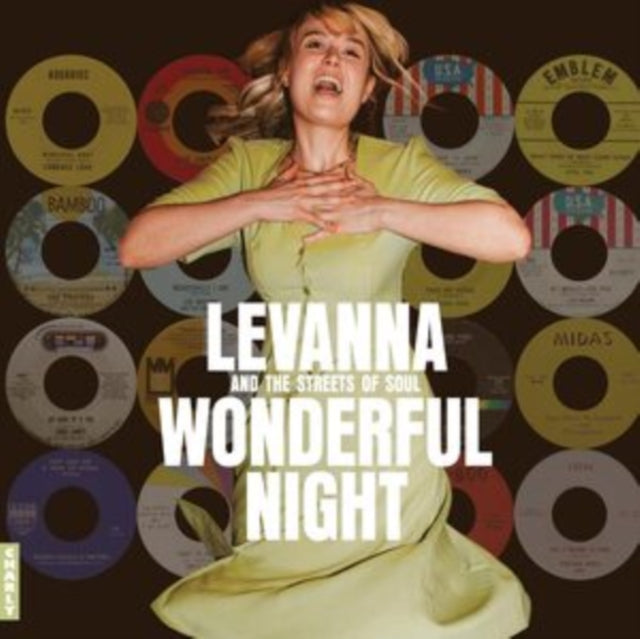 Various Artists: Wonderful Night Curated By Levanna - Vinyl