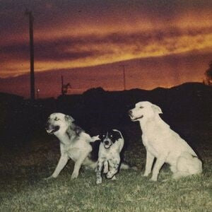 Sennen: New Quiet - Vinyl