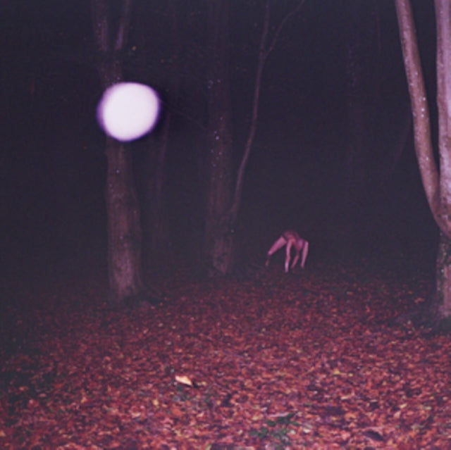 Buzzard Buzzard Buzzard: Skinwalker - CD
