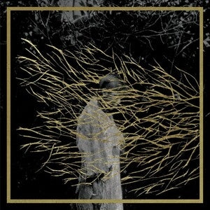 Forest Swords: Engravings (2025 Edition) - CD