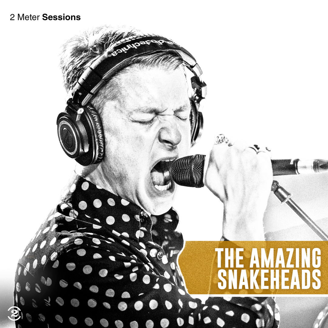 The Amazing Snakeheads: 2 Meter Sessions (Gold Vinyl) (Deluxe Edition) - Vinyl