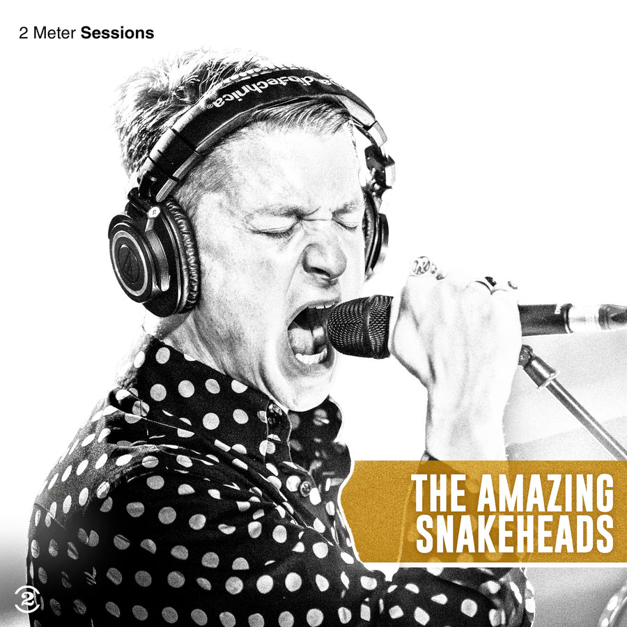 The Amazing Snakeheads: 2 Meter Sessions (Gold Vinyl) (Deluxe Edition) - Vinyl