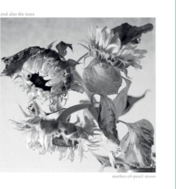 And Also the Trees: Mother-Of-Pearl Moon - CD