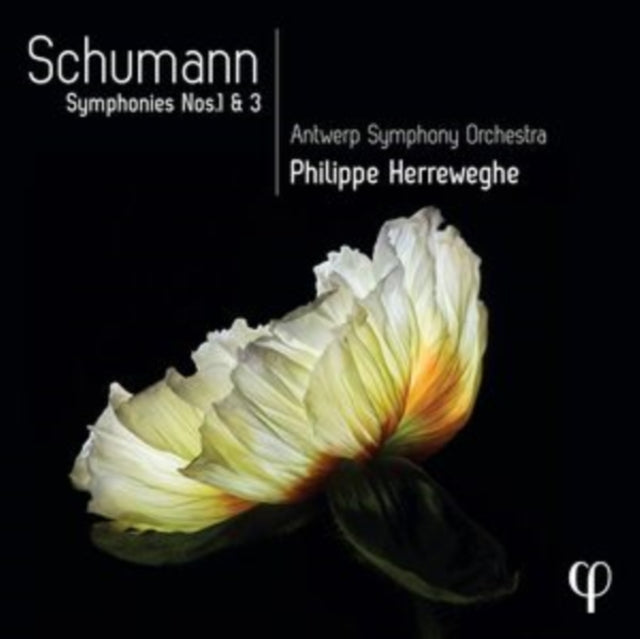 Philippe Herreweghe / Antwerp Symphony Orchestra: Schumann: Symphonies Nos. 1 & 3 - CD