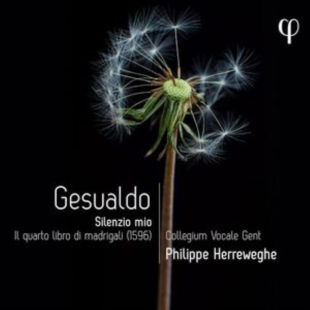Collegium Vocale Gent / Hannah Ely / Barbora Kabatkova / Melodie Ruvio / Benedict Hymas / Tore Tom D: Gesualdo: Silenzio Mio. Il Quarto Libro Di Madrigali - CD
